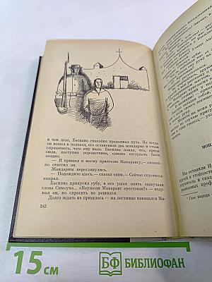 Флибустьеры