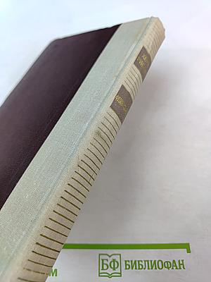 Флибустьеры