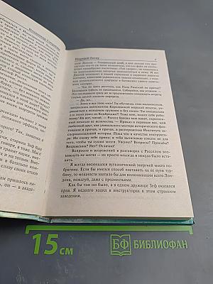 Ищущий битву