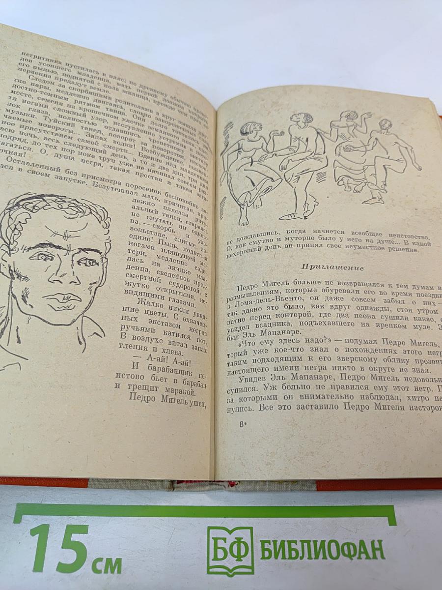 Бедный негр