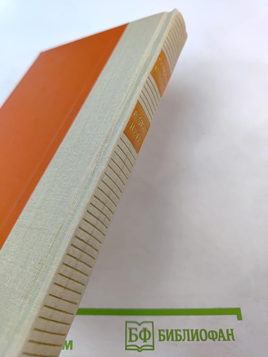 Бедный негр