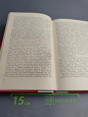 Красные щиты