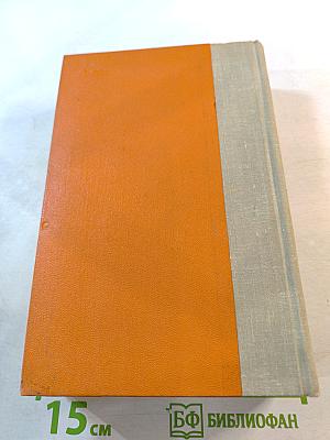 Капитан Невельской