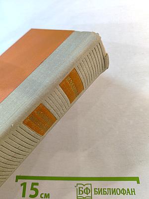 Капитан Невельской