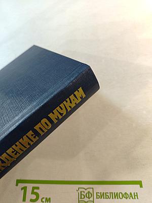 Хождение по мукам. Книга первая и вторая