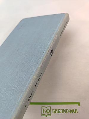 Лебединая стая