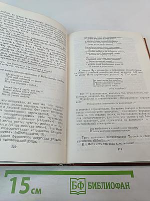 Несгораемые слова