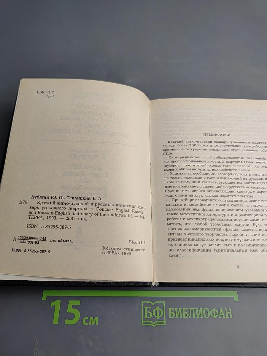 Краткий англо-русский и русско-английский словарь уголовного жаргона