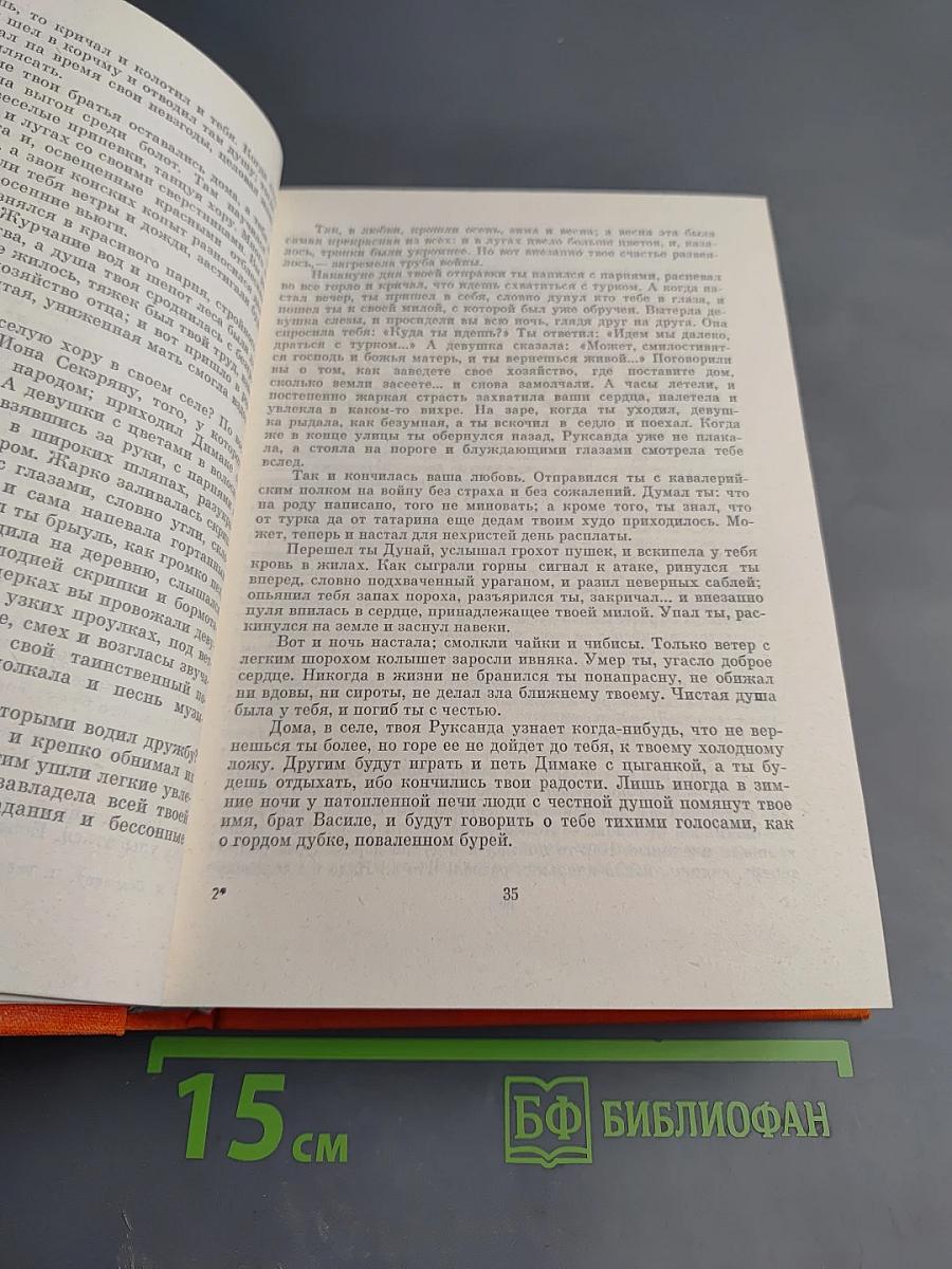 Рассказы. Митря Кокор. Восстание