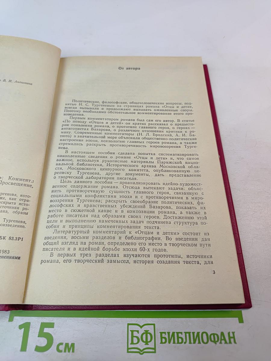 Роман И.С.Тургенева «Отцы и дети» Комментарий