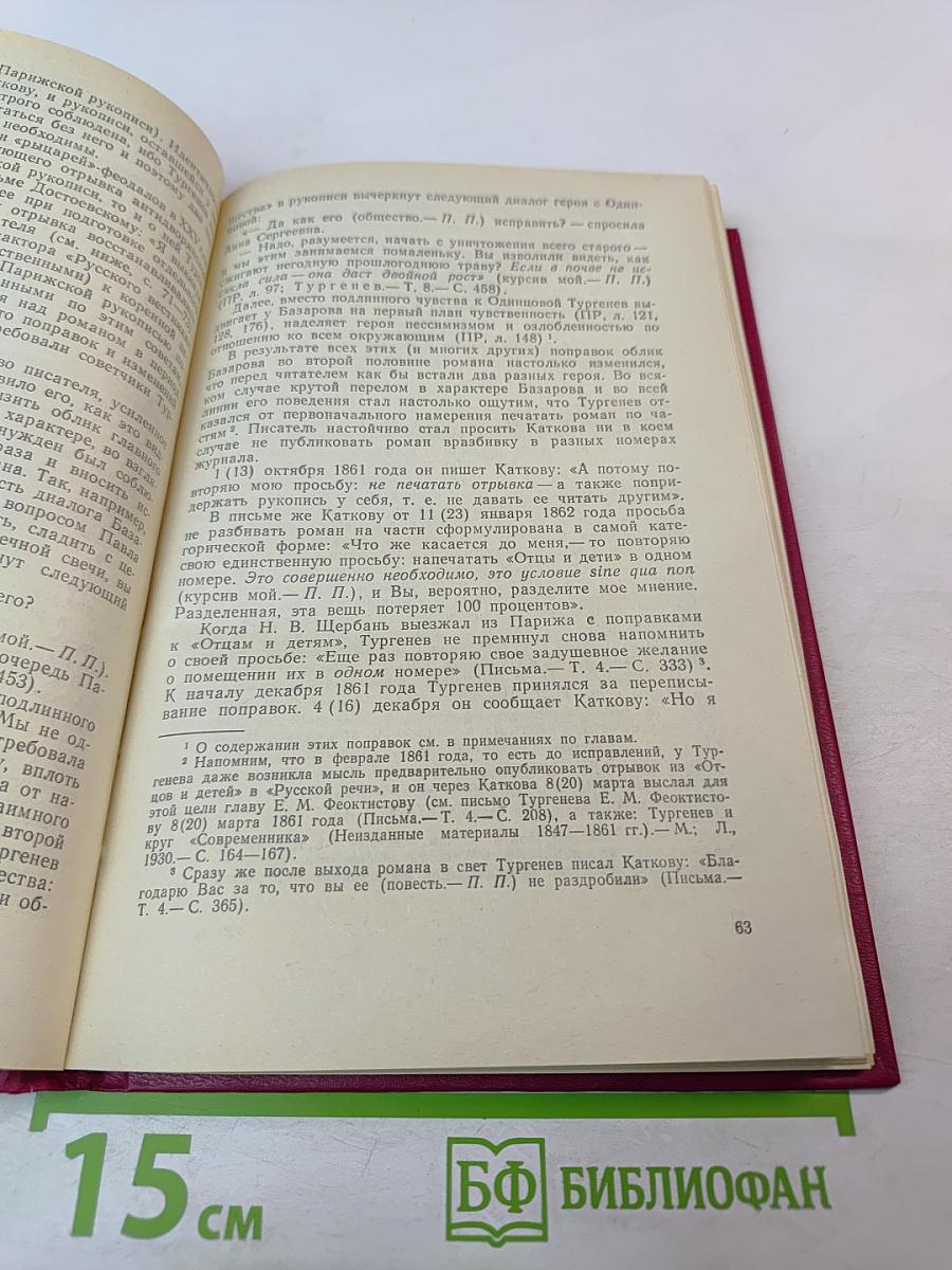 Роман И.С.Тургенева «Отцы и дети» Комментарий