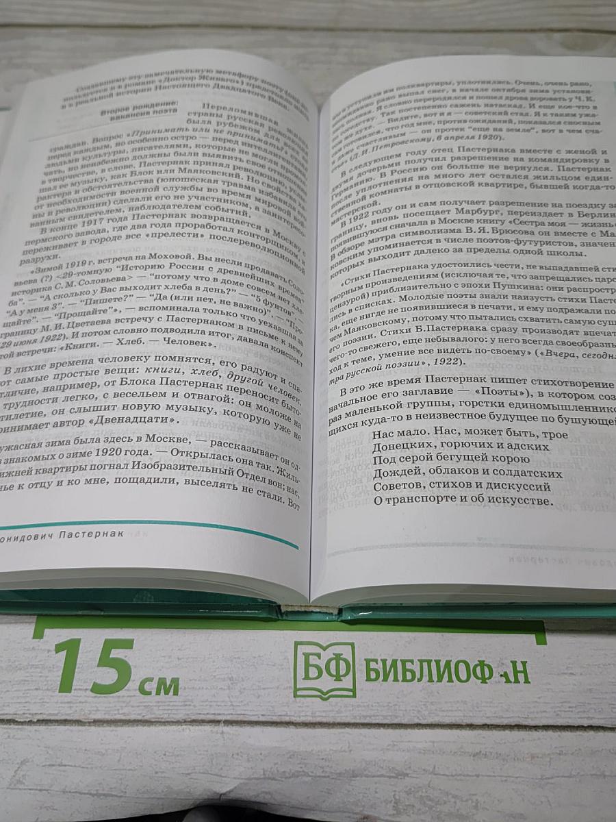 Русский язык и литература. Литература (Часть 2)
