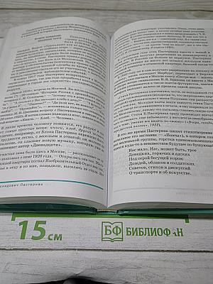 Русский язык и литература. Литература (Часть 2)