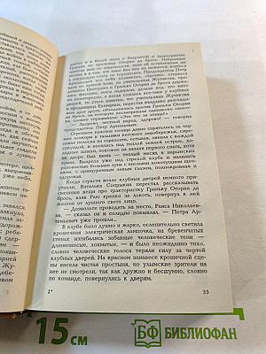 Деревенский детектив
