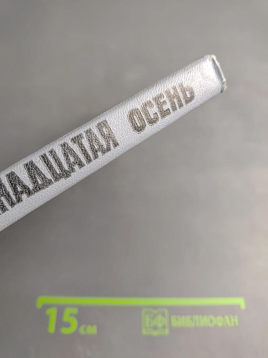 Наша восемнадцатая осень