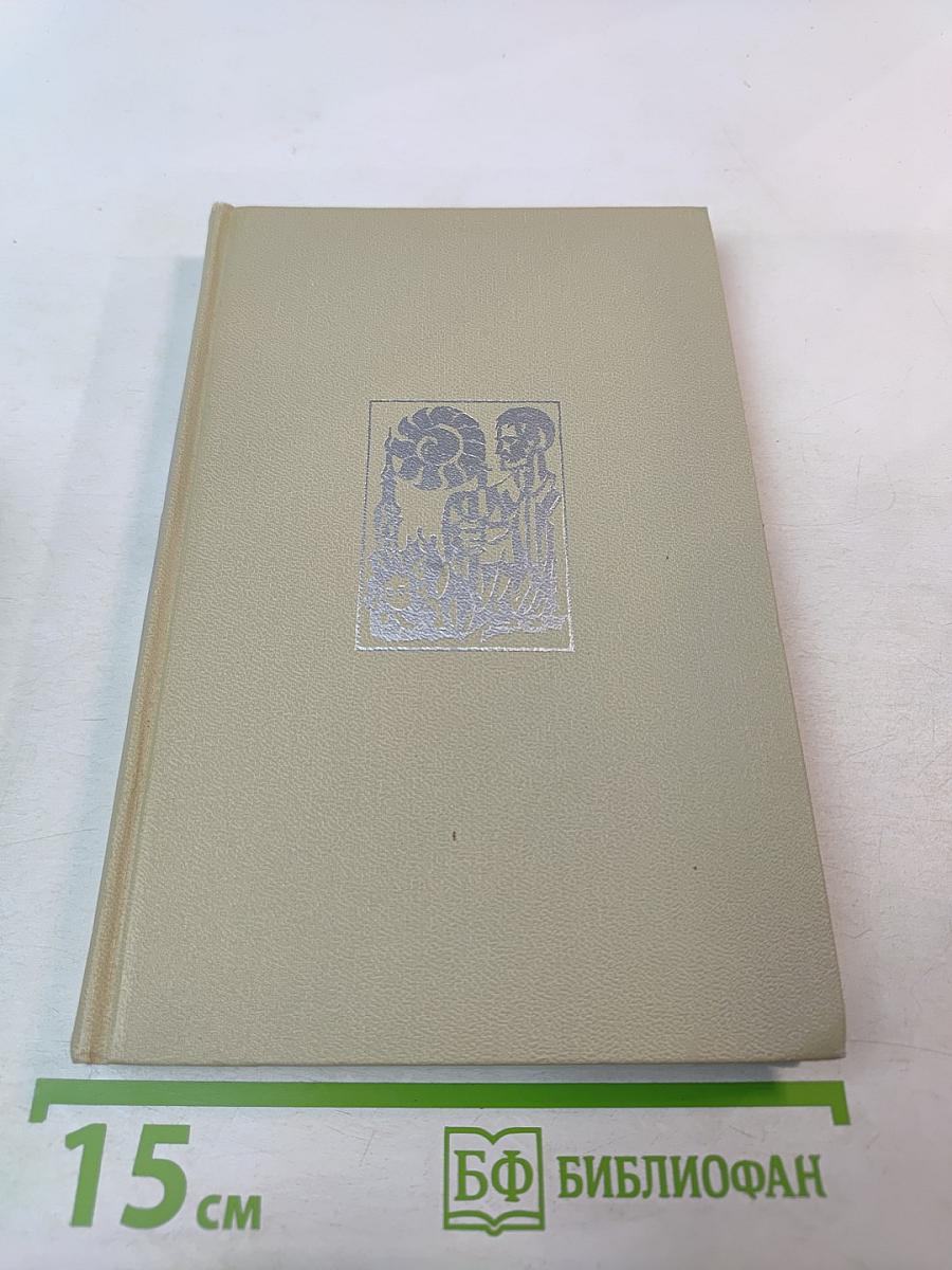 В разгар лета