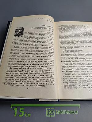 Волшебник из Гель-Гью. Жюль Верн. Под флагом Катрионы