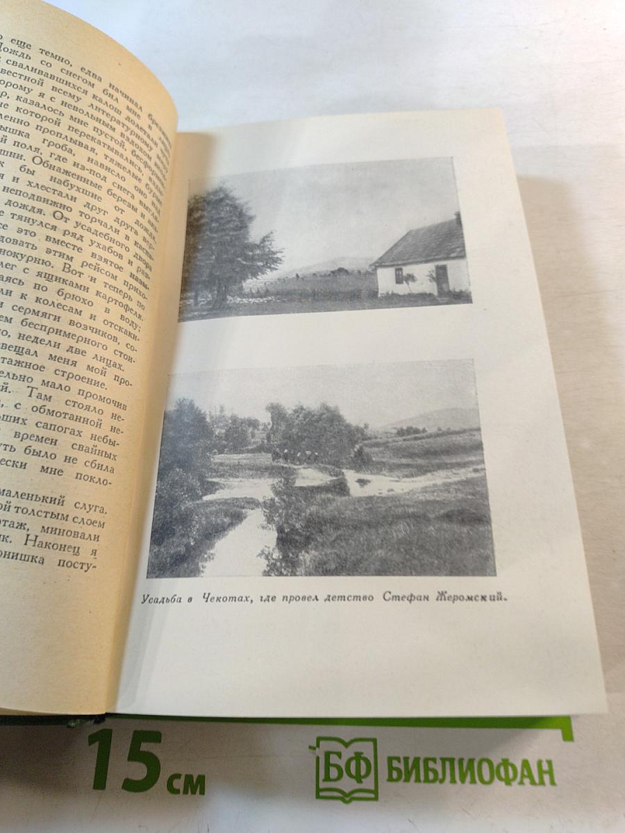 Избранные сочинения. Том первый: Рассказы и повести