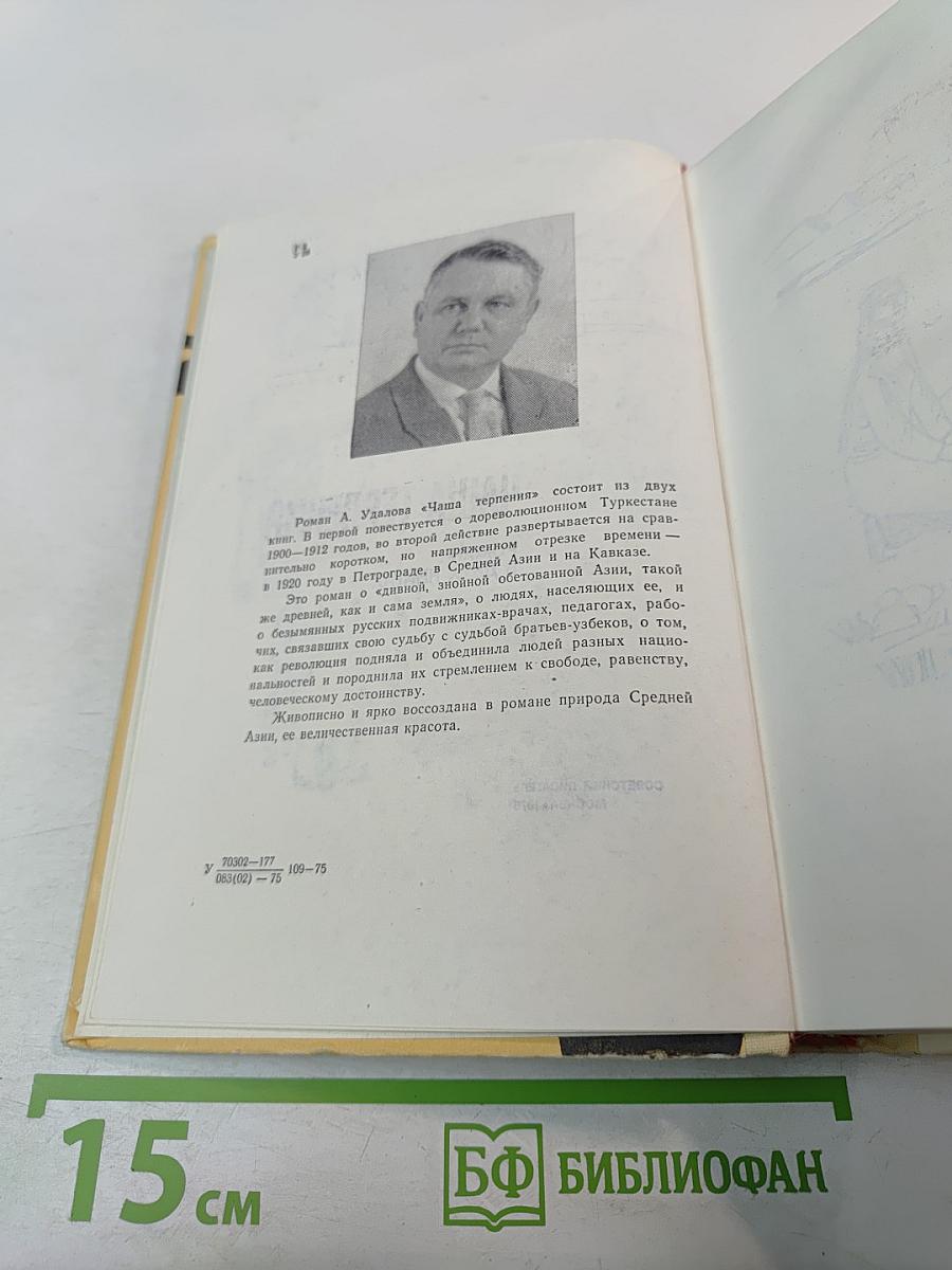 Чаша терпения