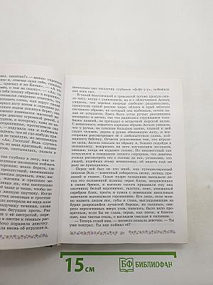 Литература. 6 класс. Учебник. Часть 2