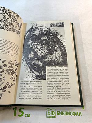 Био-технология: свершения и надежды