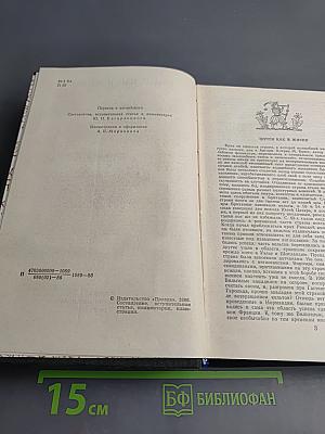 Почти как в жизни