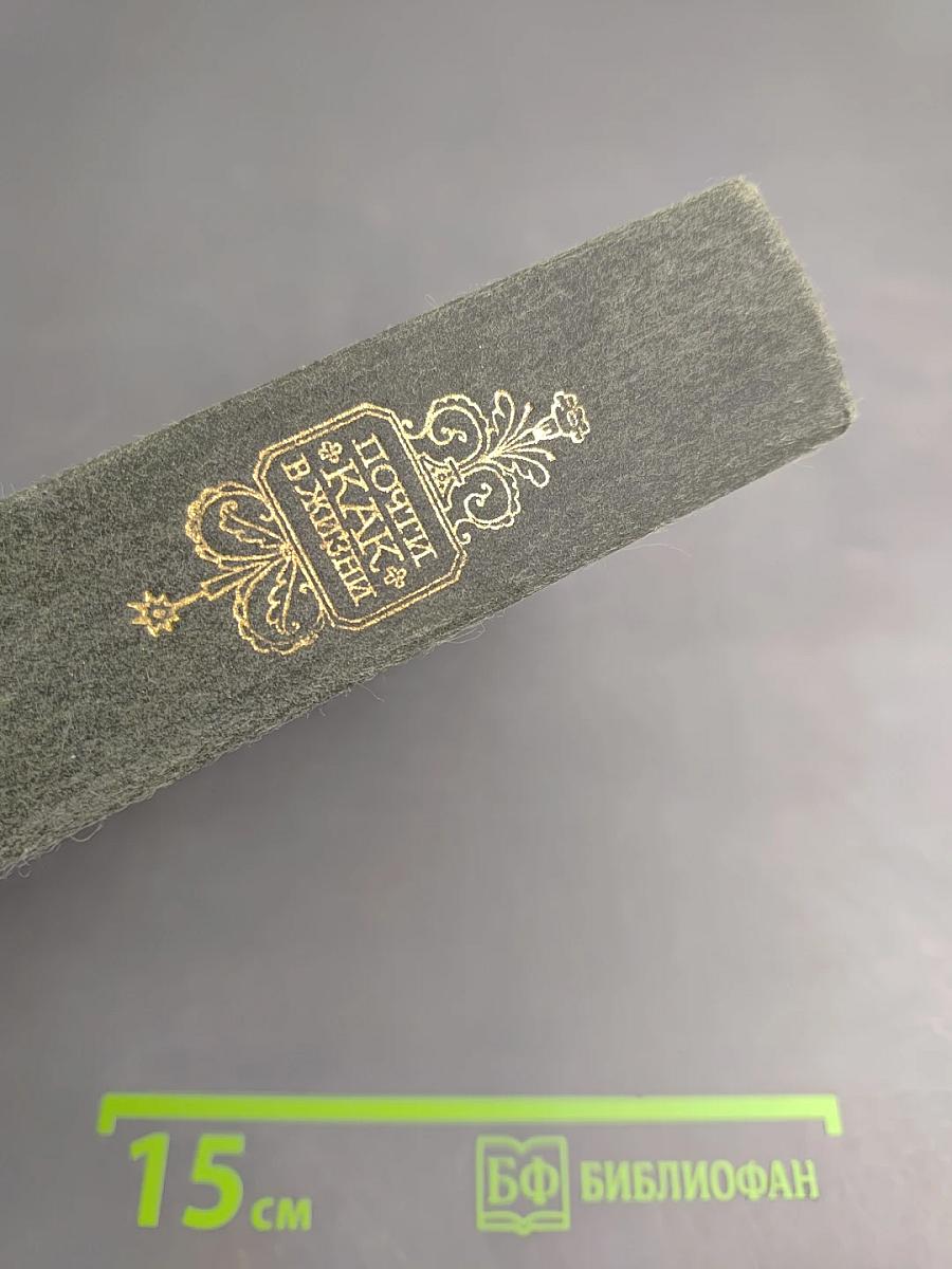 Почти как в жизни