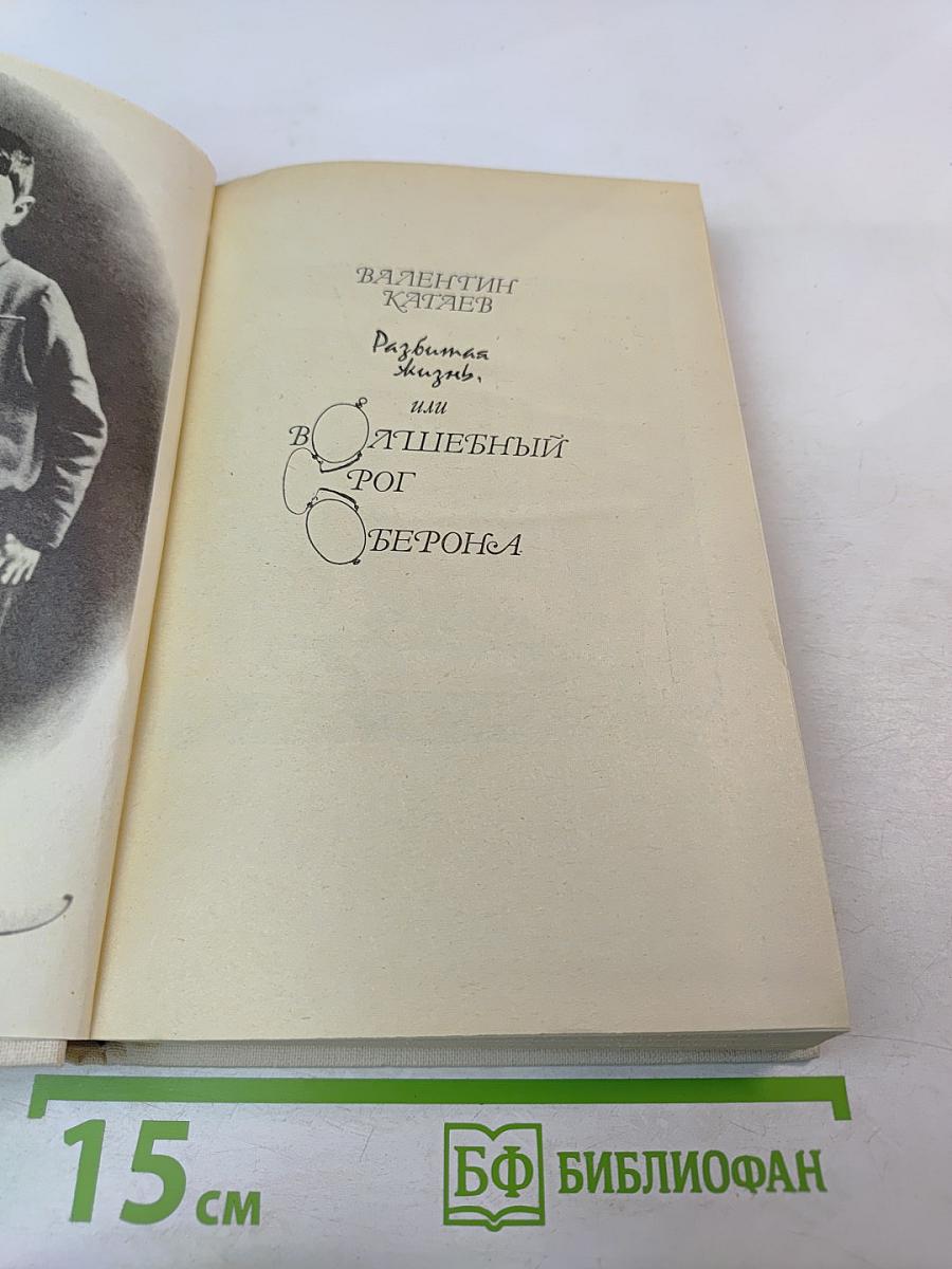 Разбитая жизнь, или Волшебный рог Оберона