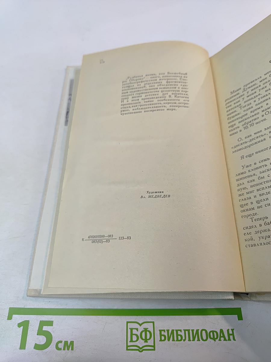 Разбитая жизнь, или Волшебный рог Оберона