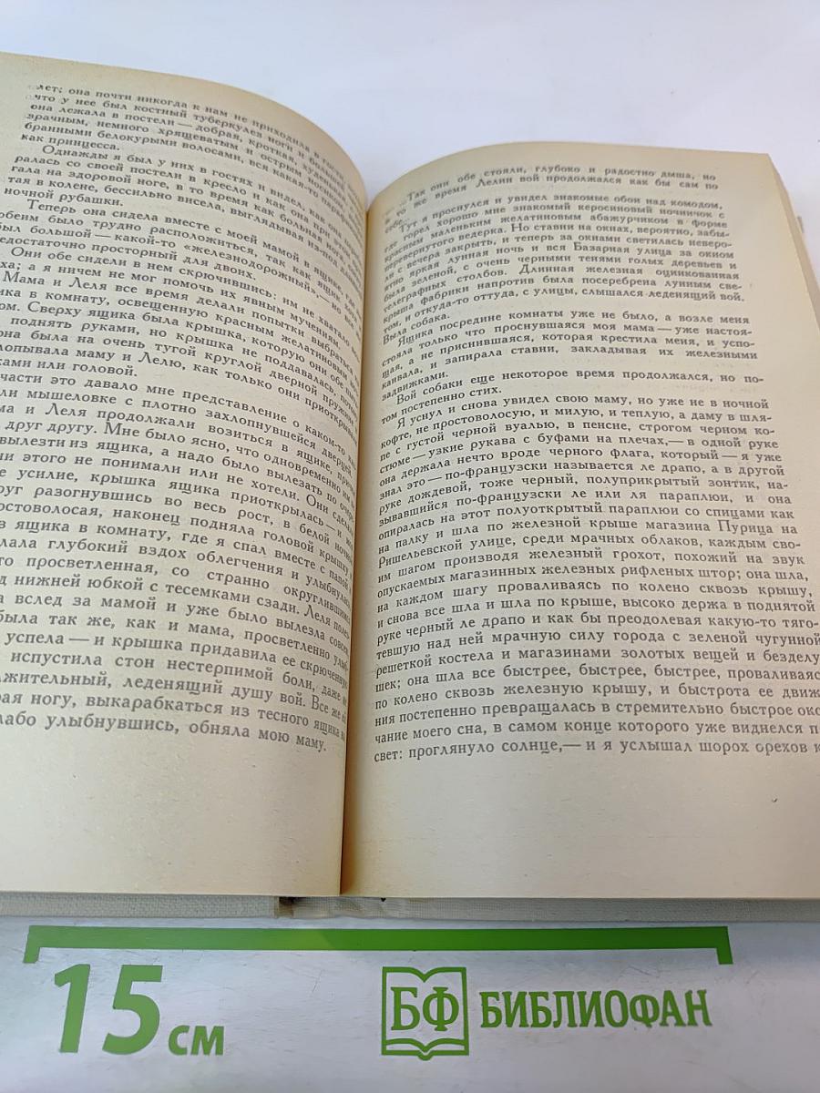 Разбитая жизнь, или Волшебный рог Оберона