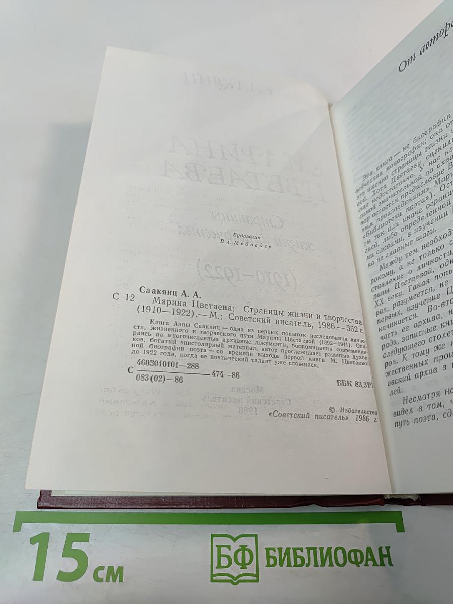 Марина Цветаева. Страницы жизни и творчества (1910-1922)