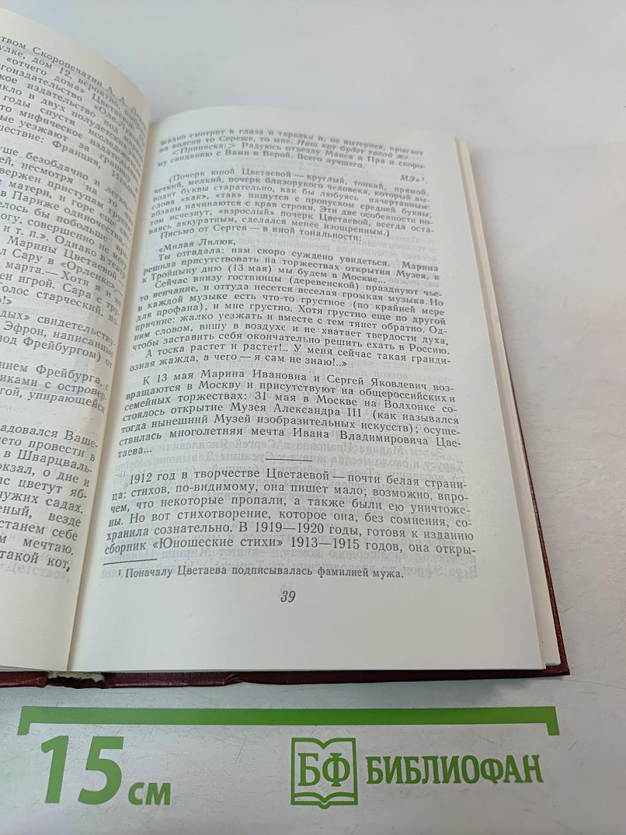 Марина Цветаева. Страницы жизни и творчества (1910-1922)