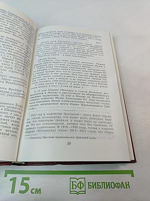Марина Цветаева. Страницы жизни и творчества (1910-1922)