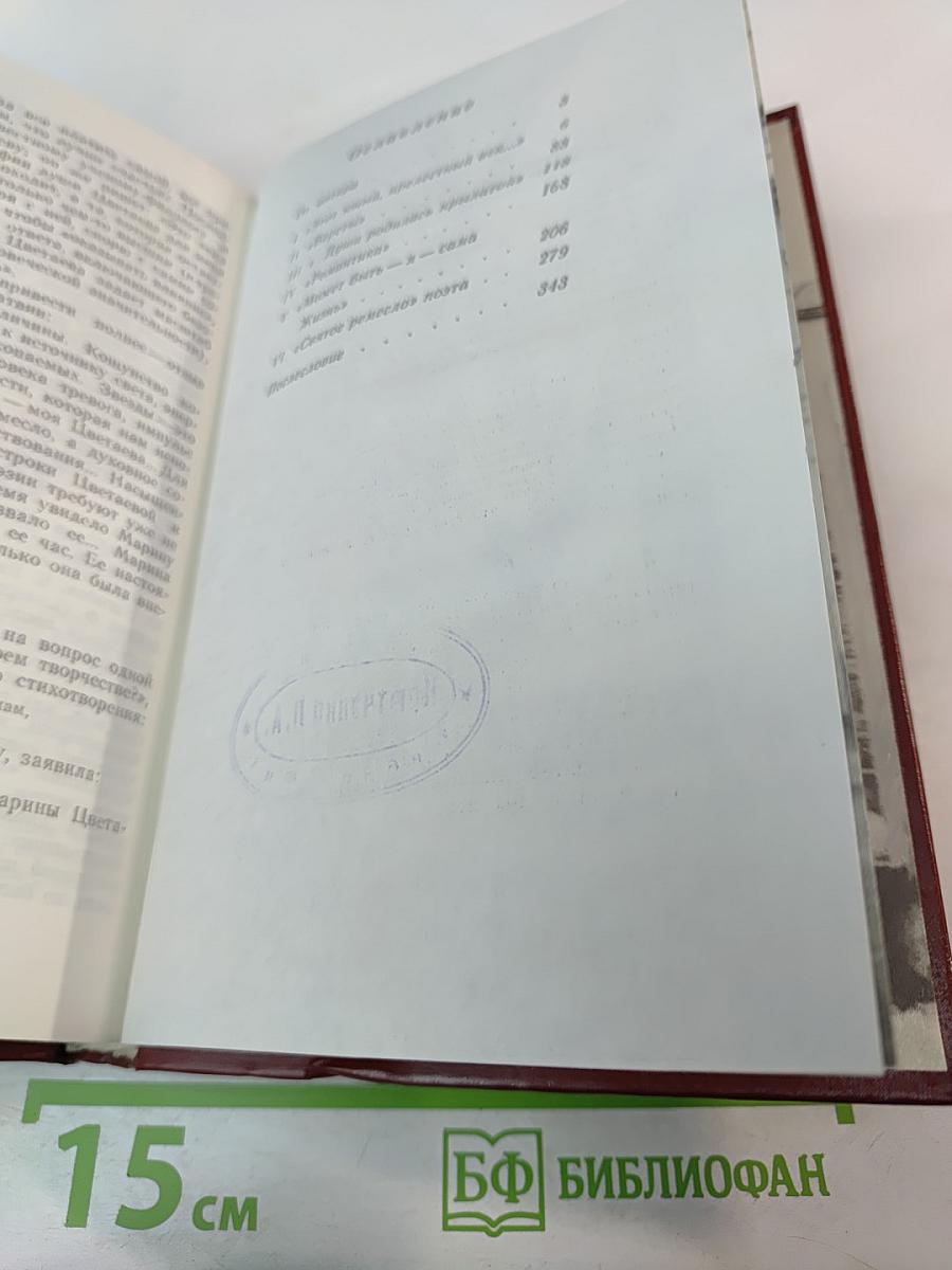 Марина Цветаева. Страницы жизни и творчества (1910-1922)