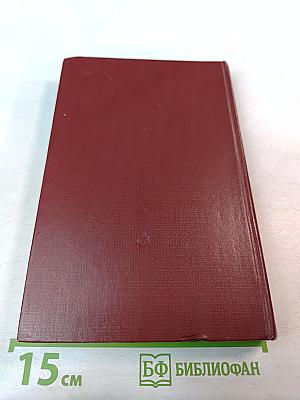 Марина Цветаева. Страницы жизни и творчества (1910-1922)