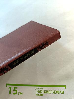 Скажи: которая "Татьяна?" Образы и прототипы в русской литературе