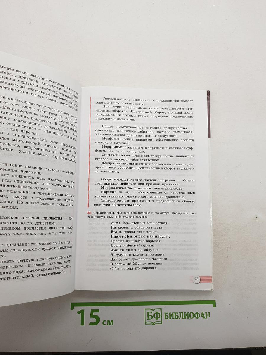 Русский язык. Литература. Русский язык 10-11. Базовый уровень