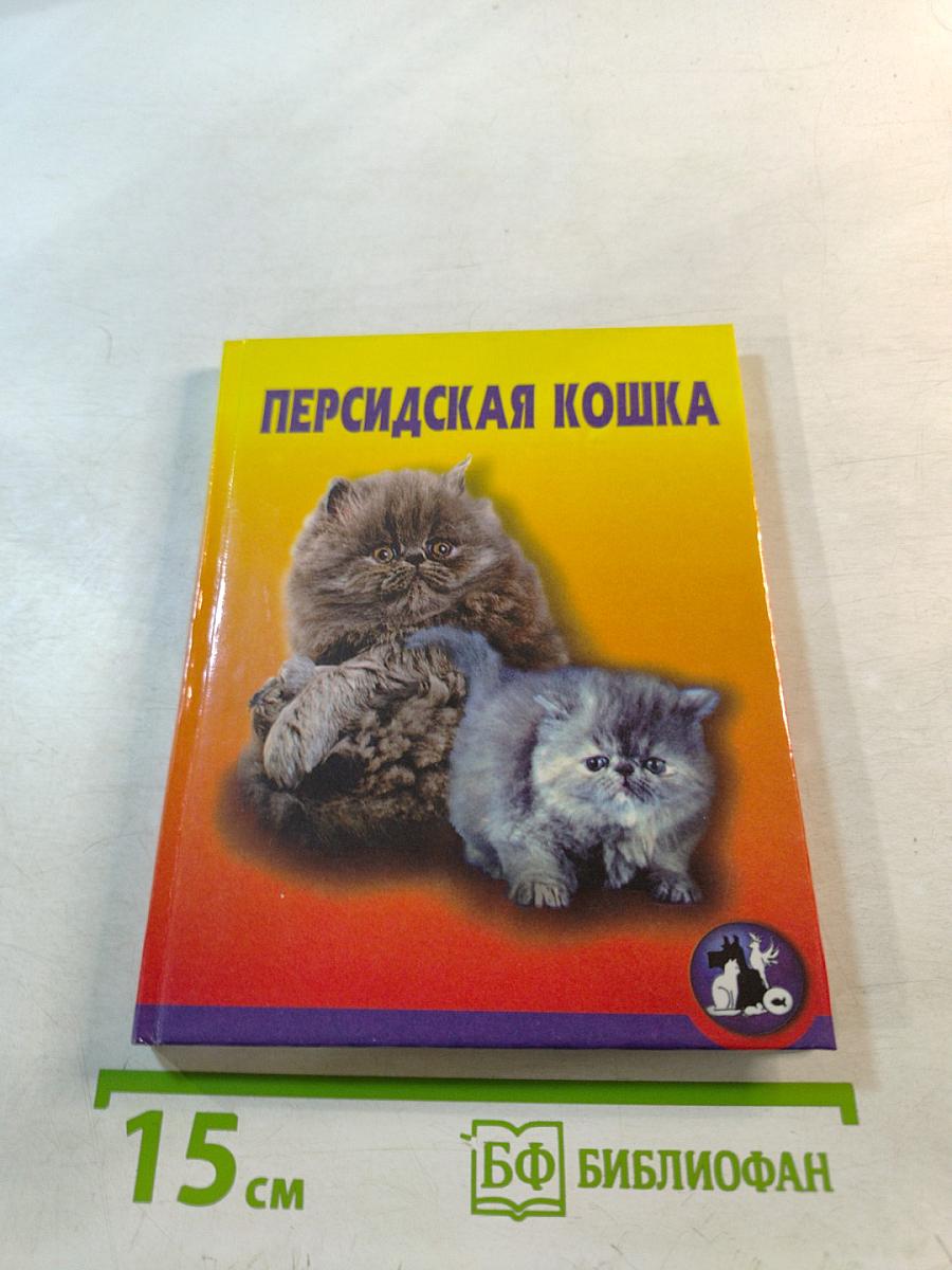 Персидская кошка