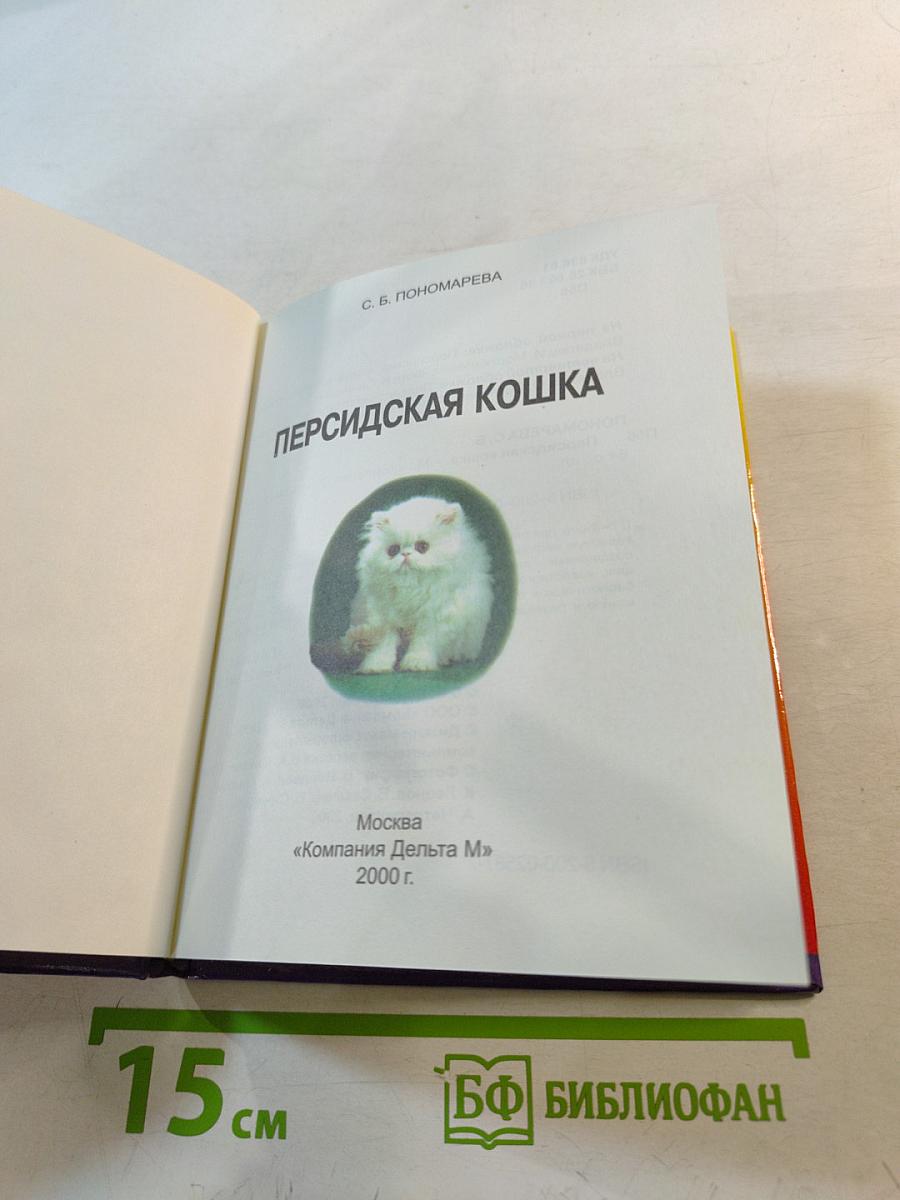 Персидская кошка