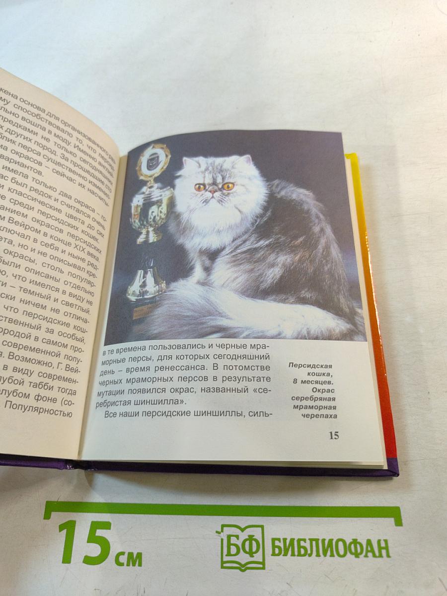 Персидская кошка