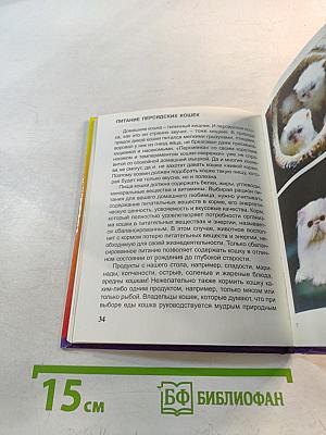 Персидская кошка