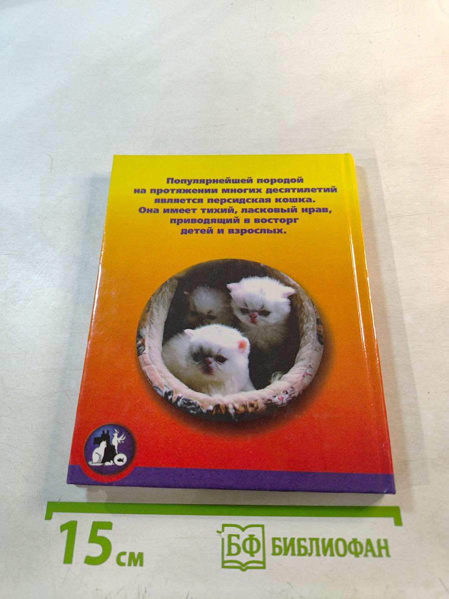 Персидская кошка