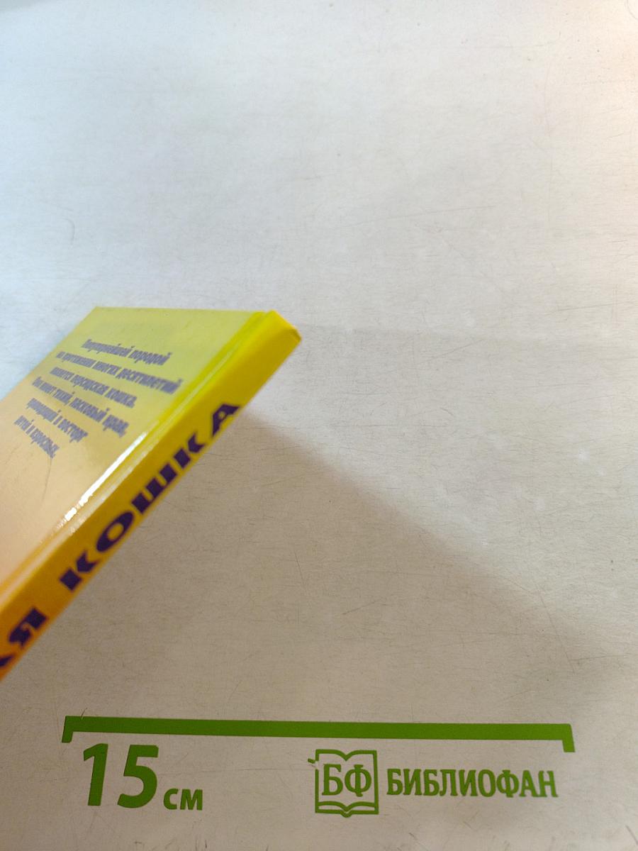 Персидская кошка