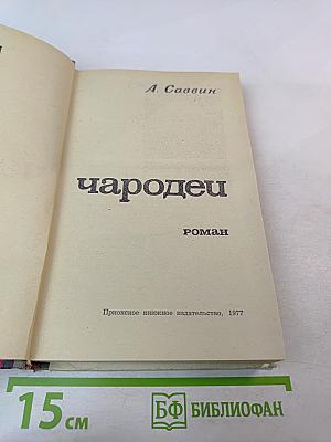 Чародей. Книга вторая