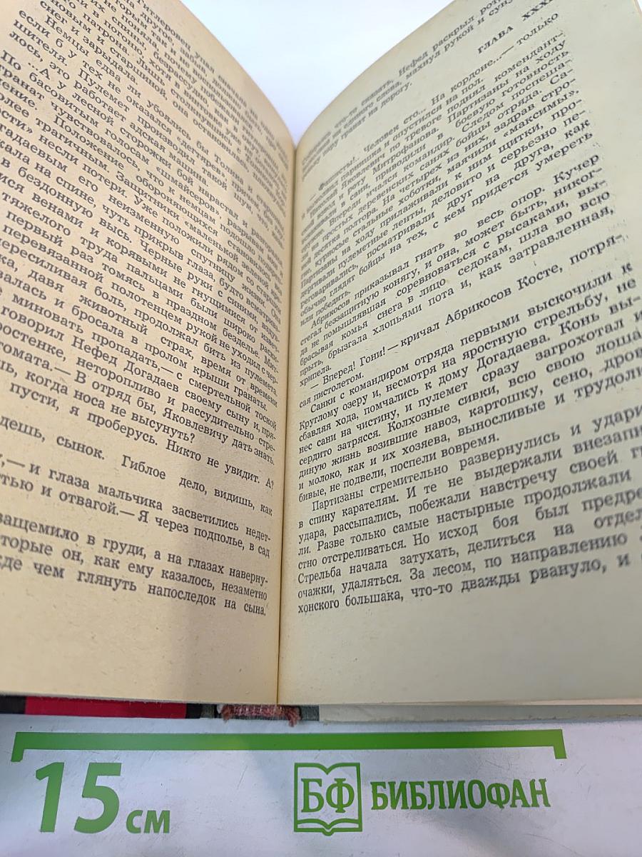 Чародей. Книга вторая