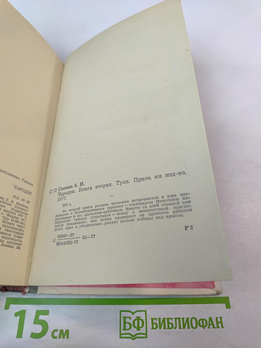 Чародей. Книга вторая