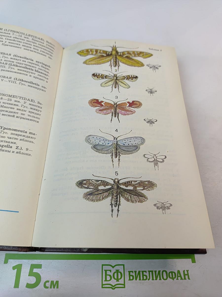 Школьный атлас-определитель бабочек