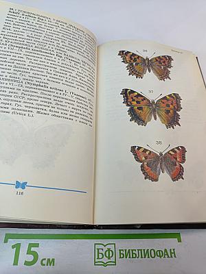 Школьный атлас-определитель бабочек