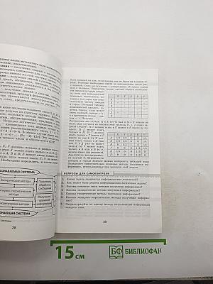 Информатика. Информатика в примерах и задачах