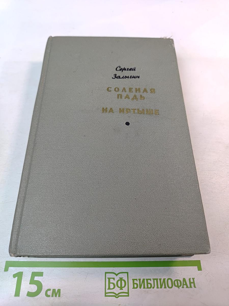 Соленая Падь. На Иртыше